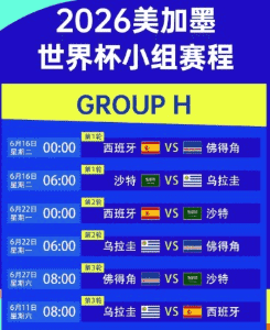 梅西谈最后一届世界杯